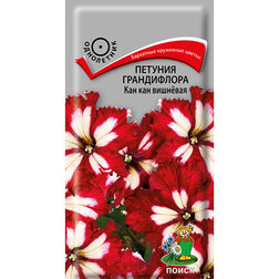 ����  ������� ����������� ��������� F1 ��������, ������ �� 46 ���