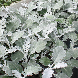 ����  ��������� ���������� (1��-1000��) ���������������� ������, ������ �� 400 ���