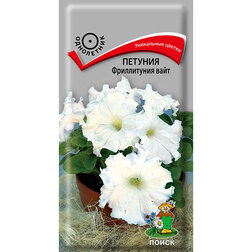 ����  ������� ����������� ����, ������ �� 73 ���