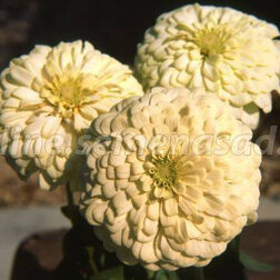 ����  ������ �������� ���� (1��-1000��)���������������� ������, ������ �� 4320 ���