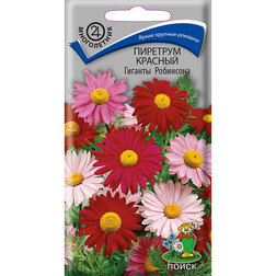 ����  �������� ������� ������� ���������, ������ �� 32 ���