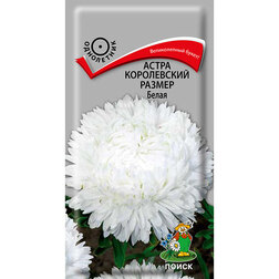 ����  ����� ����������� ������ �����, ������ �� 26 ���