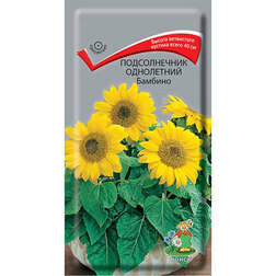 ����  ������������ ���������� �������, ������ �� 29 ���