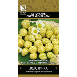 ����  ��������� ������������ ���������, ������ �� 31 ���