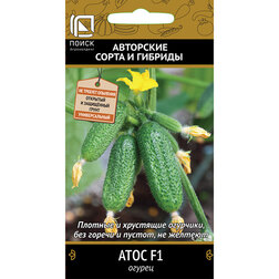 ����  ������ ���� F1, ������ �� 44 ���