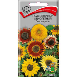 ����  ������������ ���������� ����� �������, ������ �� 26 ���