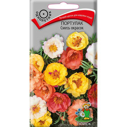 ����  �������� ����� �������, ������ �� 26 ���