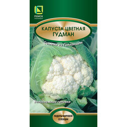 ����  ������� ������� ������, ������ �� 72 ���