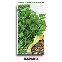 ����  �������� ������� ������, ������ �� 29 ���