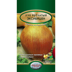 ����  ��� �������� ���������, ������ �� 81 ���