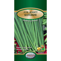 ����  ��� ����� �������, ������ �� 31 ���