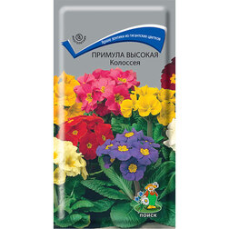 ����  ������� ������� ��������, ������ �� 30 ���