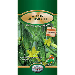 ����  ������ �������� F1, ������ �� 37 ���