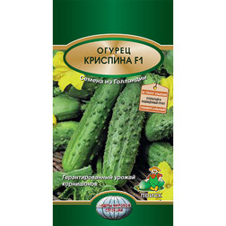 ����  ������ �������� F1, ������ �� 85 ���