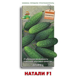 ����  ������ ������ F1, ������ �� 29 ���