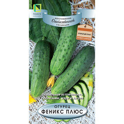 ����  ������ ������ ����, ������ �� 31 ���