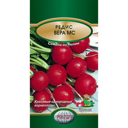 ����  ����� ���� ��, ������ �� 31 ���