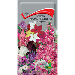 ����  ����� ��������� ������ ��������, ������ �� 26 ���