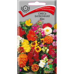 ����  ����� ��������� ����, ������ �� 30 ���