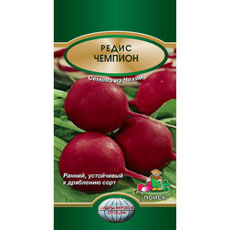 ����  ����� �������, ������ �� 31 ���