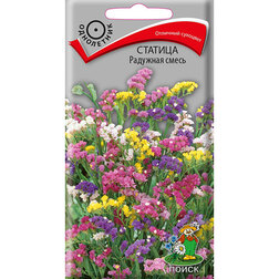 ����  ������� �������� �����, ������ �� 26 ���