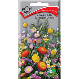 ����  ��������� ��������� ������, ������ �� 26 ���