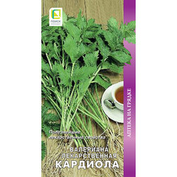 ����  ��������� ������������� ��������, ������ �� 35 ���