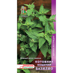 ����  �������� ������� �������, ������ �� 29 ���