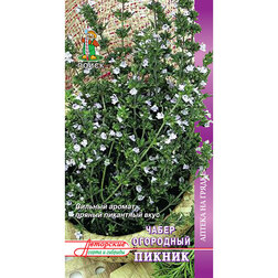 ����  ����� ��������� ������, ������ �� 31 ���