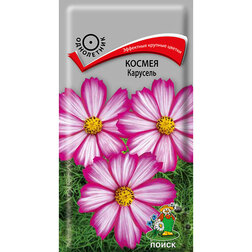 ����  ������ ��������, ������ �� 26 ���