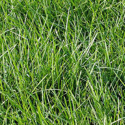 ����  �������� ������������ ����� (1��-100��), ������ �� 170 ���