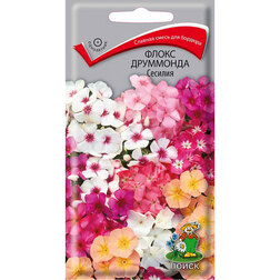 ����  ����� ��������� �������, ������ �� 29 ���