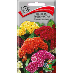 ����  ������� ����������� ���������� ���, ������ �� 26 ���