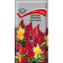 ����  ������� �������� ����� �������, ������ �� 26 ���