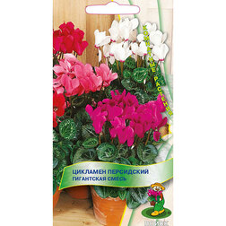 ����  �������� ���������� ���������� �����, ������ �� 63 ���