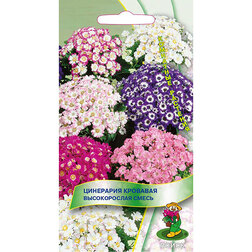 ����  ��������� �������� ������������ �����, ������ �� 43 ���