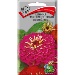 ����  ������ ����������������� ��������� ����, ������ �� 26 ���