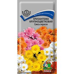 ����  ���������� ��������������� ����� �������, ������ �� 40 ���