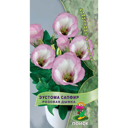 ����  ������� ������ ������� �����, ������ �� 81 ���