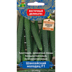 ����  ������ ���������� ������� F1 (��������� ���������), ������ �� 41 ���