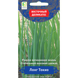 ����  ��� ����� (�� ����) ���� ����� (��������� ���������), ������ �� 33 ���