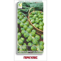 ����  ������� ������������ ��������, ������ �� 29 ���