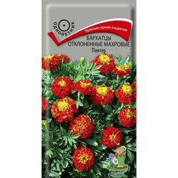 ����  �������� ����������� �������� ������, ������ �� 26 ���