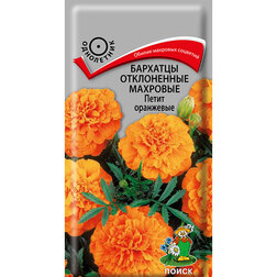 ����  �������� ����������� �������� ����� ���������, ������ �� 26 ���