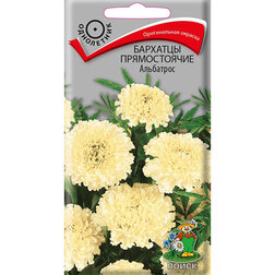 ����  �������� ������������ ���������, ������ �� 32 ���