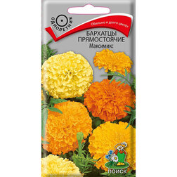 ����  �������� ������������ ���������, ������ �� 26 ���