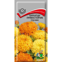 ����  �������� ������������ ���� ����, ������ �� 26 ���