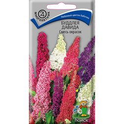 ����  ������� ������ ����� �������, ������ �� 50 ���