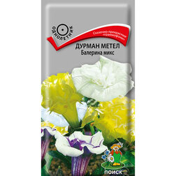 ����  ������ ����� �������� ����, ������ �� 67 ���