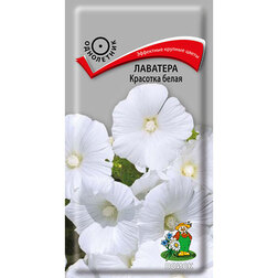 ����  �������� �������� �����, ������ �� 26 ���